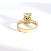 4.05ct E-VVS2 Radiant Lab Diamond Fate
